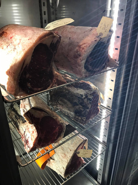 MEAT 1500 All In One Dry Age/Seasoning Cabinet – 2 Door