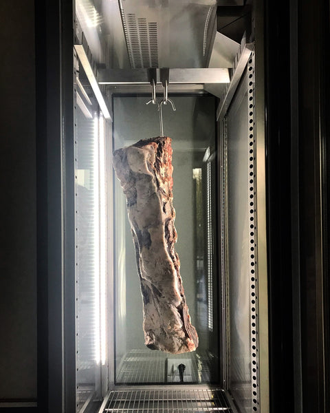 MEAT 700 Dry Ager Meat Panorama Single Door