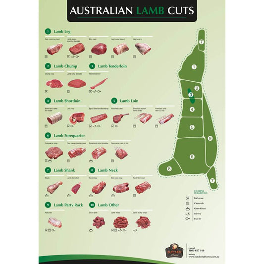 Poster - Lamb Cuts